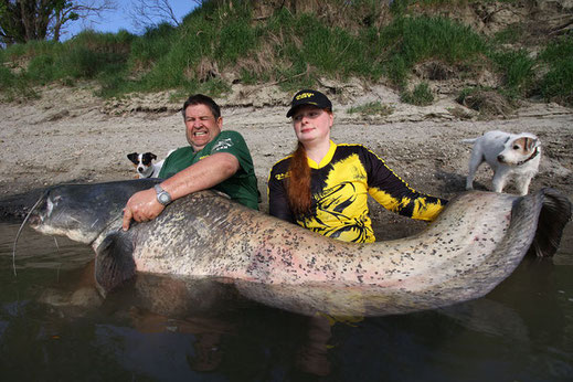 Nach einer Nacht mit durchschnittlichen Fischen stieg der Revierboss an der Steinpackung ein und forderte Uli's gesamte Erfahrung.