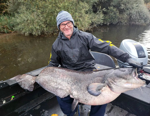 Reiner mit schönen Pelagic-Wels, oft hat man mit dieser Angelmethode in kürzester Zeit mehrere Wels-Bisse.