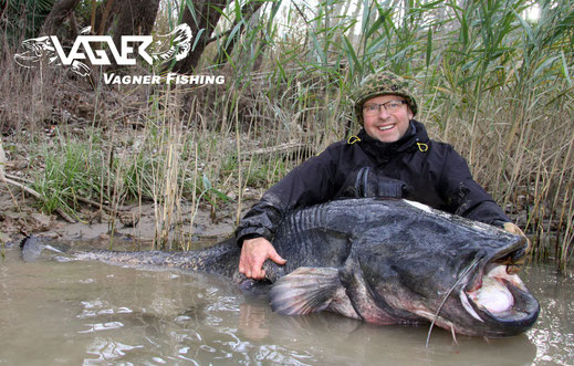 Vagner Fishing - Der Körperbau und speziell das Maul der spanischen Karpfenfresser ist in den europäischen Flusssystemen so kaum nochmal zu finden..