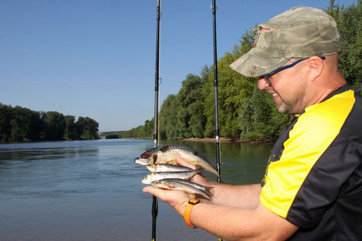 Peter Merkel fischt in Deutschland am liebsten mit totem Köderfisch.