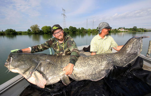 Peter Merkel und Patrick Haas mit einem über 100 Kilo schweren Vertkal Wels.