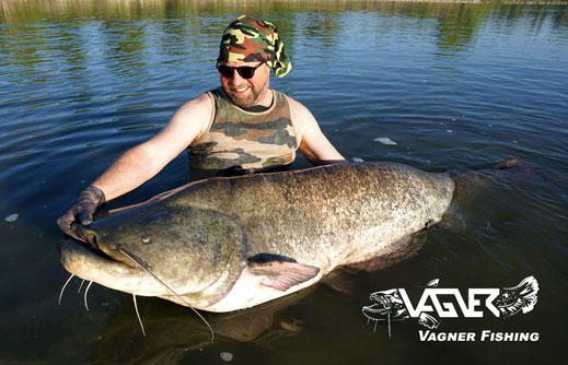 Vagner Fishing - Peter Merkel hält hier glücklich einen schönen Wels in den Händen. Fangort war der italienische Fluss Po in Norditalien.