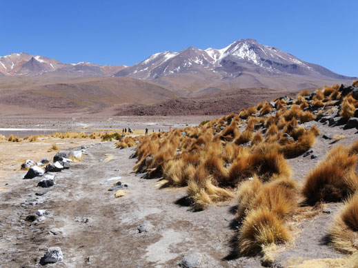 Atemberaubende Natur, Reserva Nacional de Fauna Andina Eduardo Avaroa, Bolivien (Foto Jörg Schwarz)