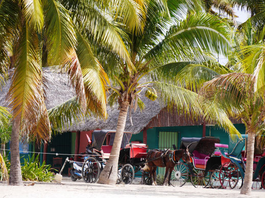 Alte Pferdekutschen an der Playa los Cocos, Kuba (Foto Jörg Schwarz)