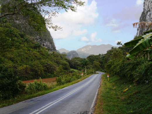 Mit dem Fahrrad zu den Tabakplantagen im Valle de Vinales, Kuba (Foto Jörg Schwarz)