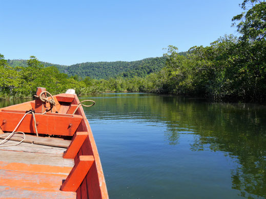 Schon der Weg ist beeindruckend und führt durch Mangroven, Dschungel und auf steile Berge... Bei Koh Kong, Kambodscha  (Foto Jörg Schwarz)