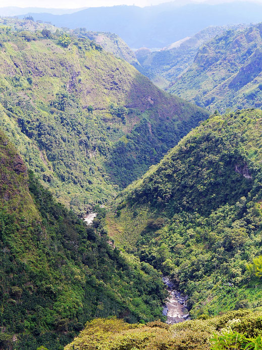 Die Schlucht des Río Magdalena, San Agustín, Kolumbien (Foto Jörg Schwarz)
