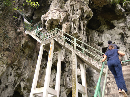 Diese Treppe stand freilich seinerzeit nicht hier rum... Über mobile Holzkonstrukte im Fels arbeitete man sich damals mühsam und durch kleinste Löcher in die Höhlen... Bei Nong Khiaw, Laos (Foto Jörg Schwarz)