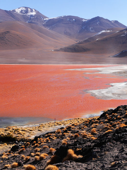 Sicher ein Highlight: Die Laguna Colorada, Reserva Nacional de Fauna Andina Eduardo Avaroa, Bolivien (Foto Jörg Schwarz)