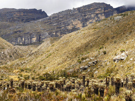 Auf dem Rückweg ist die Sonne weg, die umliegende Natur aber nicht minder impressiv! El Cocuy Nationalpark, Kolumbien (Foto Jörg Schwarz)