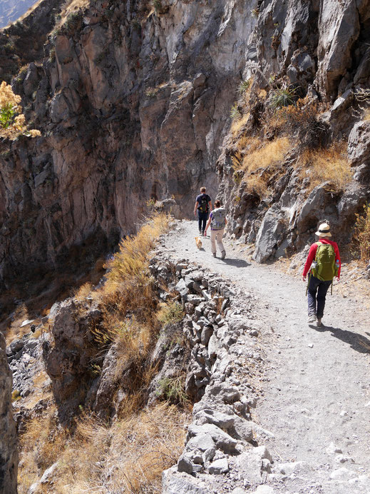 Wir genießen jeden Meter! Colca-Canon, Peru (Foto Jörg Schwarz)