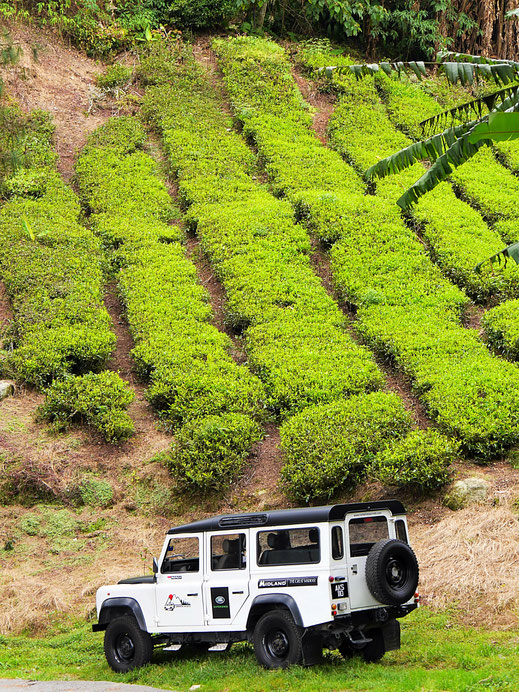 Besser man hat hier nen Jeep... Cameron Highlands, Malaysia (Foto Jörg Schwarz)