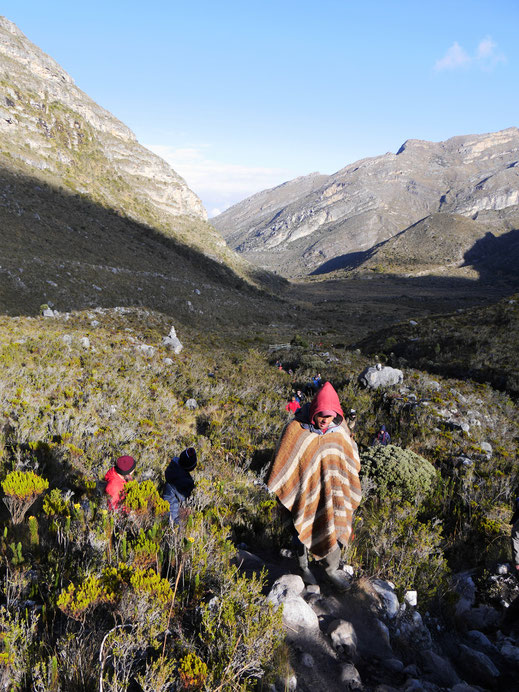 Aus einem weitgezogenen Tal geht s nun aufwärts... El Cocuy Nationalpark, Kolumbien 