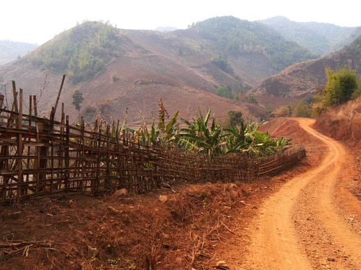 Böden und Wege verändern sich, werden sandiger und rötlicher... Bei Chiang Rai, Thailand (Foto Jörg Schwarz)