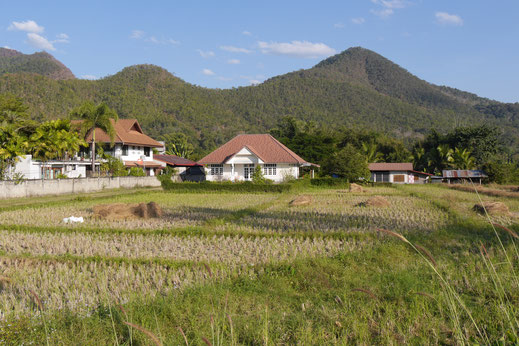 Blick in das Pai-Tal und seine Gemüsefelder... Pai, Thailand (Foto Jörg Schwarz)