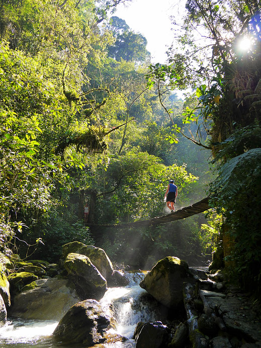 Immer wieder sind Hängebrücken zu überqueren... Valle de Cocora, Kolumbien (Foto Jörg Schwarz)