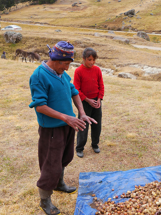 Der Kartoffelexperte, bei Uchkus Incañan, Peru (Foto Jörg Schwarz)