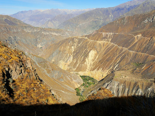 Da unten ist die Oase Sangalle, Colca-Canon, Peru (Foto Jörg Schwarz)