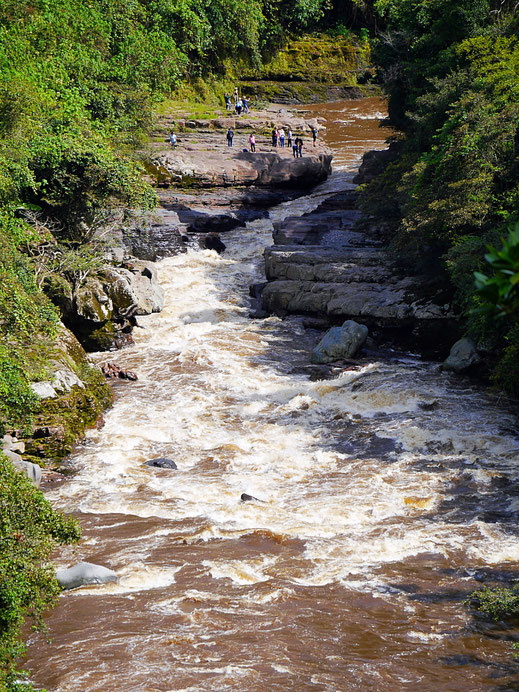 El Estrecho - Eine Flussenge am Río Magdalena, San Augustín, Kolumbien (Foto Jörg Schwarz)