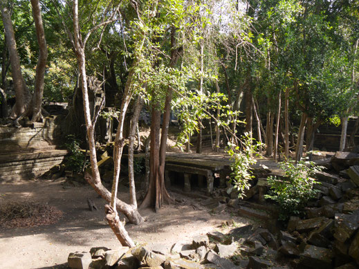 Ein Zauber wohnt diesem Tempelkomplex inne... Beng Mealea, Kambodscha (Foto Jörg Schwarz)