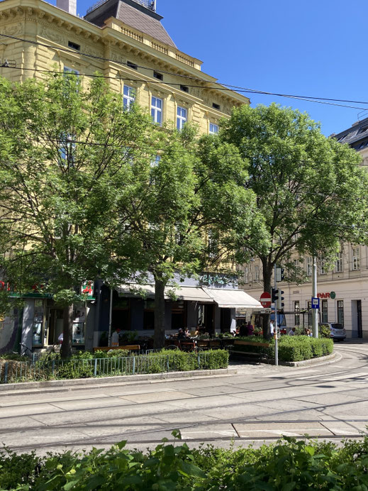Österreich Wien Donau Fotographie Reiseblog Reisereportage Spurenwechsler Reise Urlaub Städtetrip Geheimtipp slow travel Backpacker