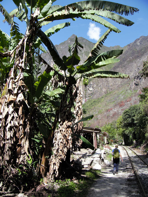 Oben angekommen geht es moderat, fast ebenerdig weiter entlang der Gleise, Hidroelectrica, Peru (Foto Jörg Schwarz)