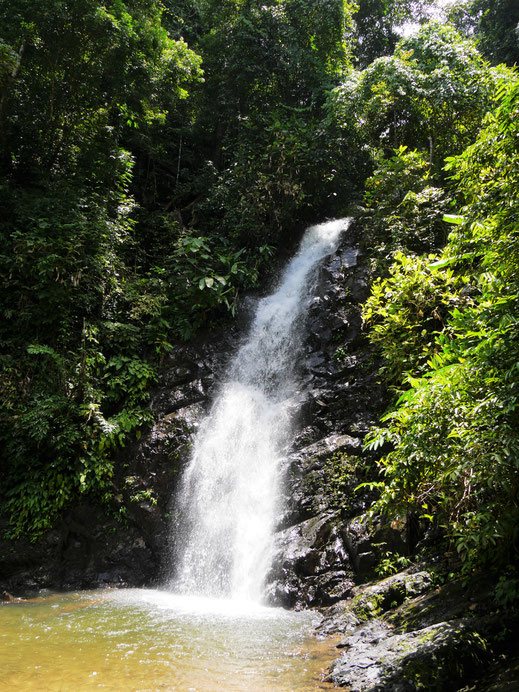 Ein gut 25 m hoher Fall am Ende des Berges... Pulau Langkawi, Malaysia (Foto Jörg Schwarz)