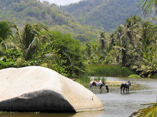 Es geht u.a. immer wieder an einmündenden Flüssen vorbei, Tayrona Park,  Kolumbien (Foto Jörg Schwarz)