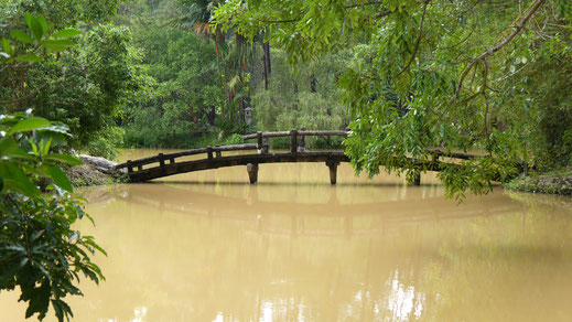 Unterwegs empfiehlt man uns eine weitere - weit außerhalb gelegene - Pagode im Wald, die gerade in der Natur aufgebaut wird... Hué, Vietnam (Foto Jörg Schwarz) 