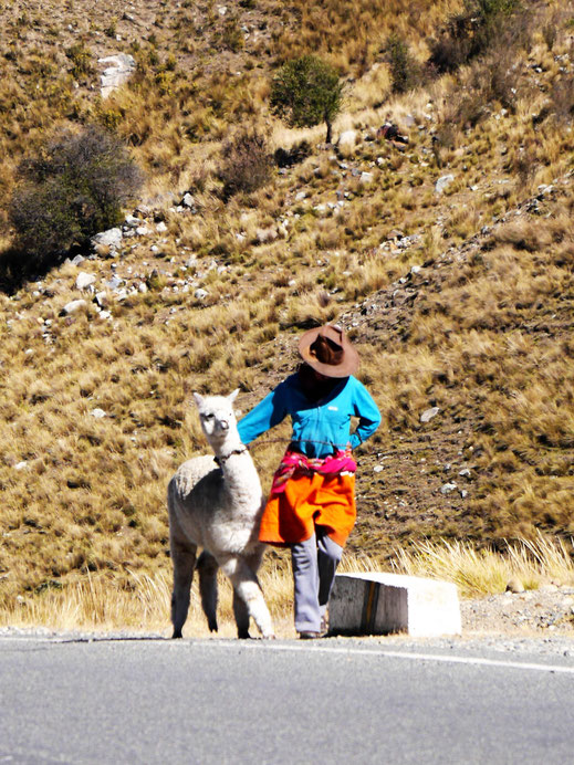 Spurenwechsler slow travel slowtravel Reiseblog Reisereportagen Reiseberichte Reisetipps Peru Trekking Natur Kultur Reise Reisefotografie 