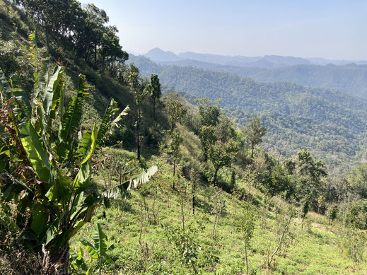 Grüne Berge soweit das Auge reicht... Bei Soppong, Thailand (Foto Jörg Schwarz)