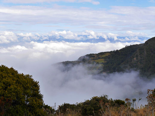 Unser Vorschlag Nr. 2: Wanderung im paramó de Ocetá, Monguí, Kolumbien (Foto Jörg Schwarz)