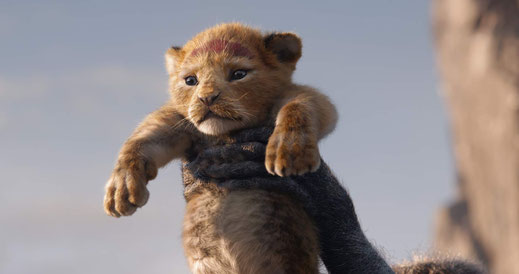 Der König der Löwen 2019 Remake Film Review FANwerk Deutsch Kritik Rezension Simba
