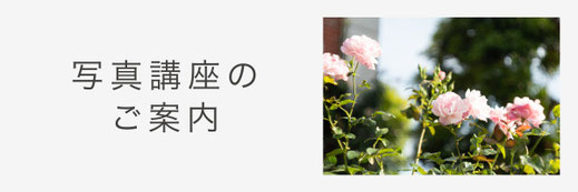 初心者写真教室｜まとりかりあ写真教室｜写真講座のご案内