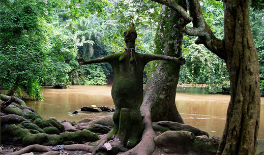 Osun-Osogbo Sacred Grove, Nigeria • Picture by Grace Stephen