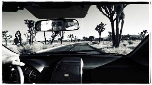 Anfahrt zum Cap Rock im Joshua Tree Nationalpark (Foto: Christian Düringer)