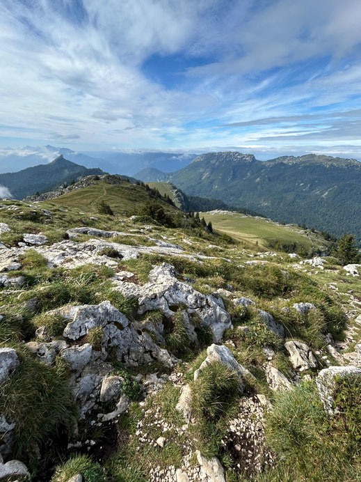 Trailrunning Chartreuse. Trailrun vakantie. Online hardloopcoaching en marathon begeleiding.