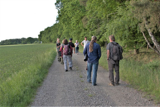 Auf dem Weg zum Ortolan