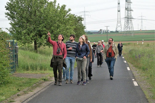 Auf dem Weg zur Nachtigall...