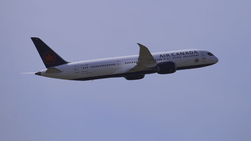 ---- Boeing 787-9 --- C-FVLZ --- First Flight: 2018 --- MSN: 38358 ---- Frankfurt Rhein-Main (FRA - EDDF) 2019