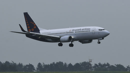 Boeing 737-300"Winglets" - OO-LTM(*2) - First Flight: 1991 - MSN: 25070 Brussels National (BRU - EBBR) 2008