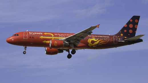 "Airbus" "A320" "OO-SNO" "2009" "3831" "BRU" "EBBR" "2023"
