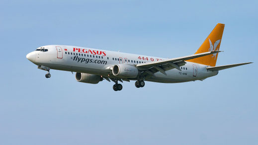 --- Boeing 737-800 --- TC-APH --- First Flight: 2001 --- MSN: 29250 --- Frankfurt Rhein-Main (FRA - EDDF) 2006
