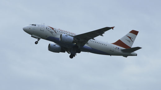 --- Airbus A319-100 --- OE-LDF --- First Flight: 2005 --- MSN: 2547 --- Brussels National (BRU - EBBR) 2008