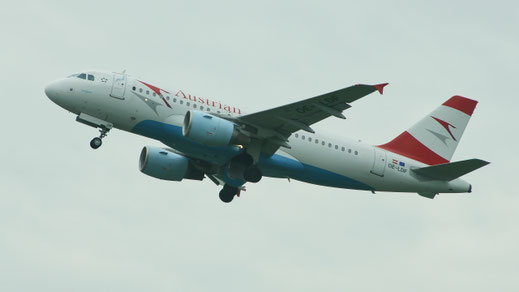--- Airbus A319-100 --- OE-LDF --- First Flight: 2005 --- MSN: 2547 --- Brussels National (BRU - EBBR) 2008