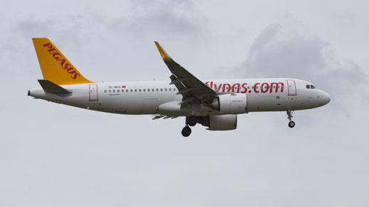 --- Airbus A320-200N --- TC-NCS --- First Flight: 2020 --- MSN: 10166 --- Frankfurt Rhein-Main (FRA - EDDF) 2023