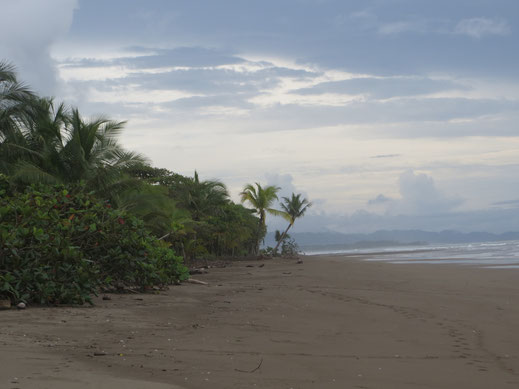 Der Strand von Las Lajas - nach links
