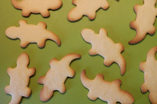 baked lazy lizard cookies