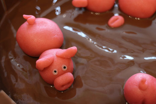 mud cake with swimming piglets