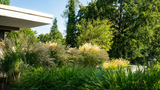 Landscape architecture, Gartendesign von Stephan Maria Lang, House LW27, bepflanzte Dachterasse